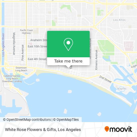 White Rose Flowers & Gifts map