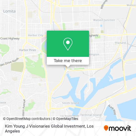 Kim Young J Visionaries Global Investment map