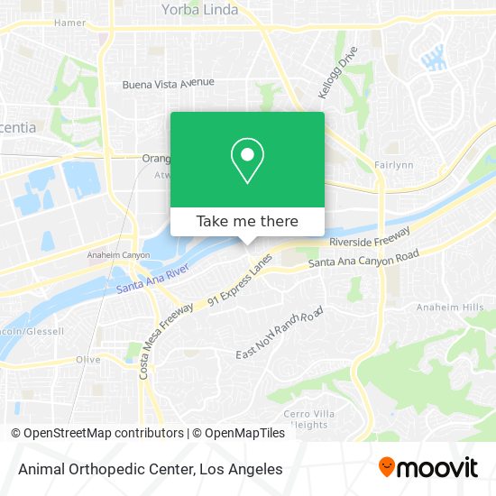Mapa de Animal Orthopedic Center