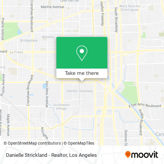 Danielle Strickland - Realtor map