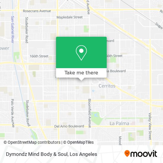Dymondz Mind Body & Soul map