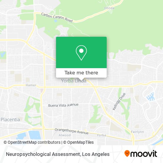 Neuropsychological Assessment map