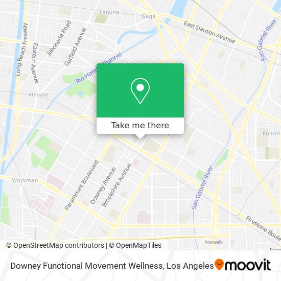 Downey Functional Movement Wellness map