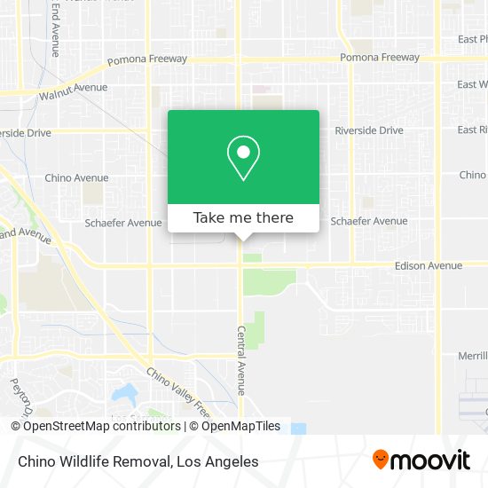 Chino Wildlife Removal map