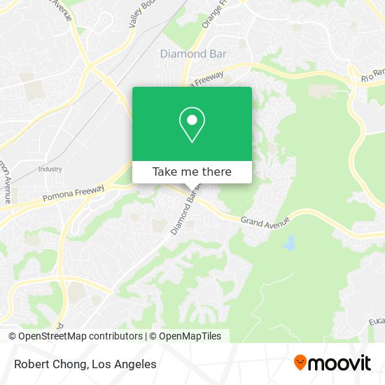 Robert Chong map