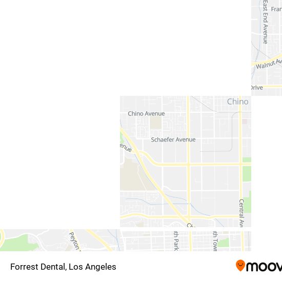 Mapa de Forrest Dental