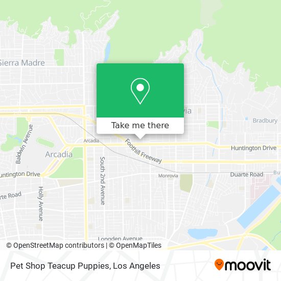 Pet Shop Teacup Puppies map