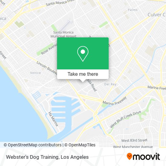 Webster's Dog Training map