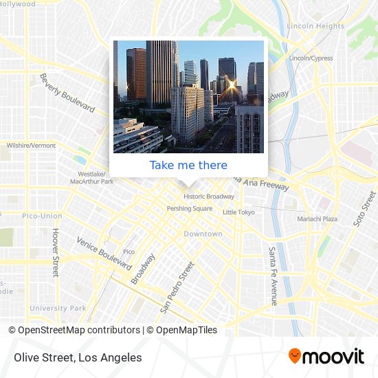 Olive Street map