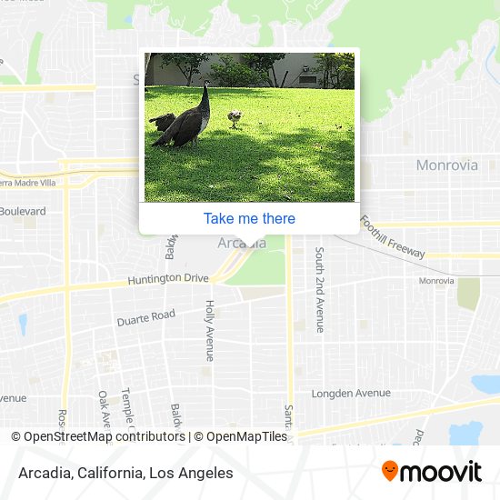 Arcadia, California map