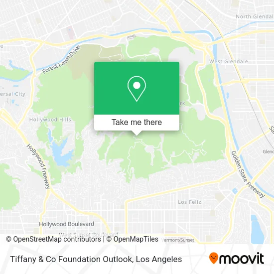 Tiffany & Co Foundation Outlook map