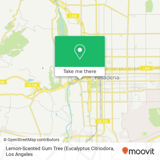 Lemon-Scented Gum Tree map