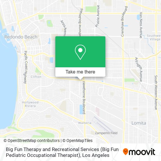 Mapa de Big Fun Therapy and Recreational Services (Big Fun Pediatric Occupational Therapist)