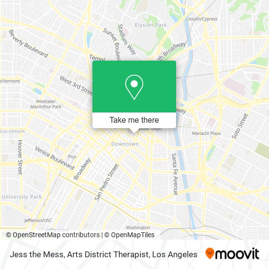 Jess the Mess, Arts District Therapist map