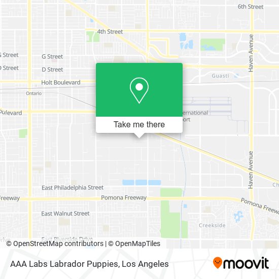 AAA Labs Labrador Puppies map