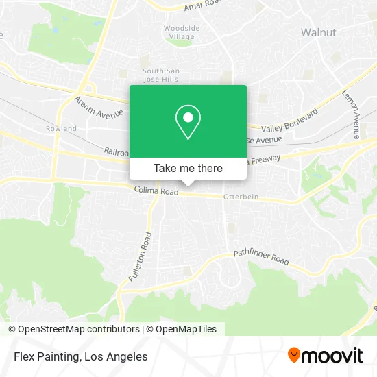 Flex Painting map