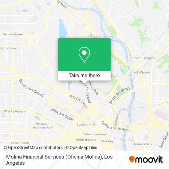 Mapa de Molina Financial Services (Oficina Molina)