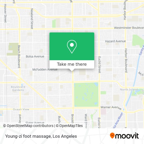 Young-zi foot massage map