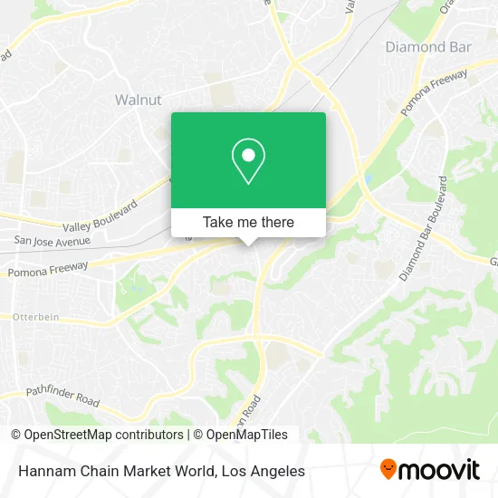 Hannam Chain Market World map