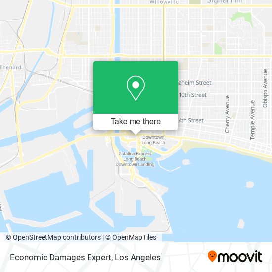 Economic Damages Expert map