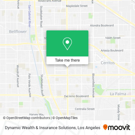 Dynamic Wealth & Insurance Solutions map