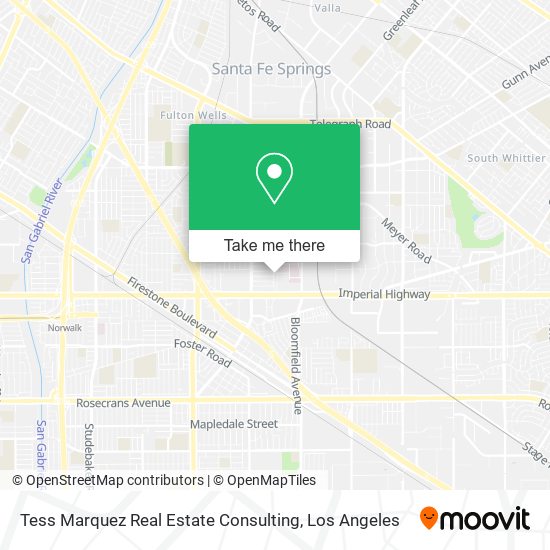 Tess Marquez Real Estate Consulting map
