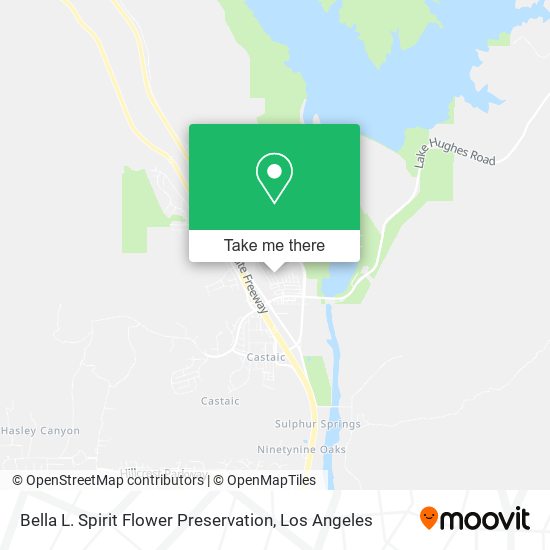 Bella L. Spirit Flower Preservation map