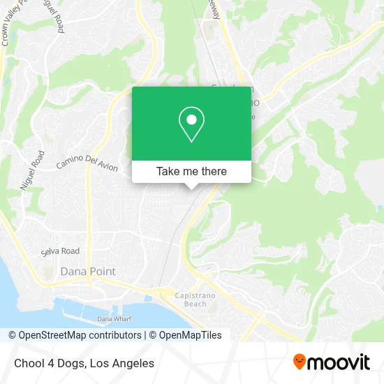 Chool 4 Dogs map