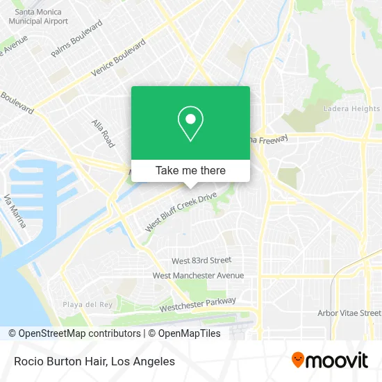 Rocio Burton Hair map