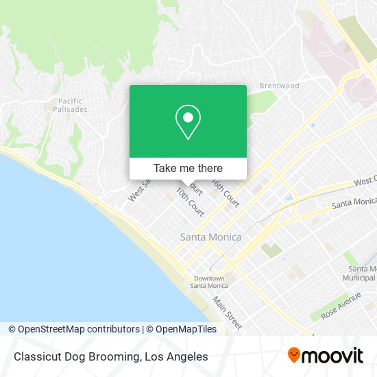 Mapa de Classicut Dog Brooming