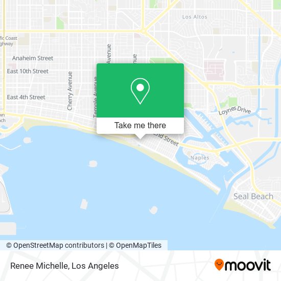 Renee Michelle map