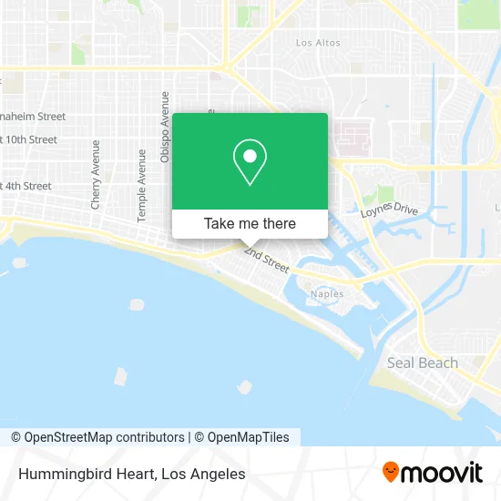 Hummingbird Heart map