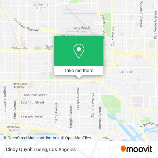 Cindy Quynh Luong map