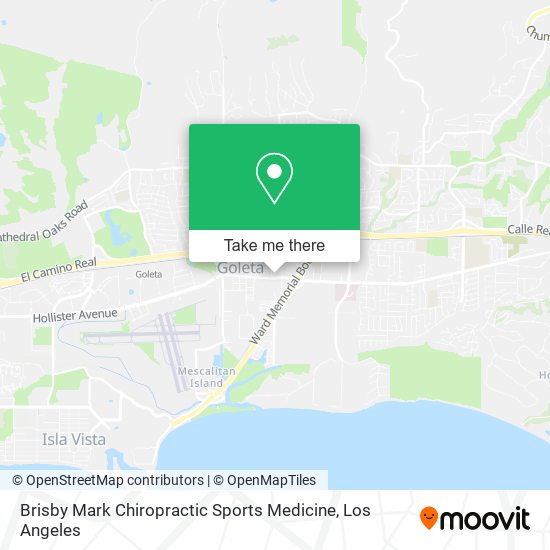 Brisby Mark Chiropractic Sports Medicine map