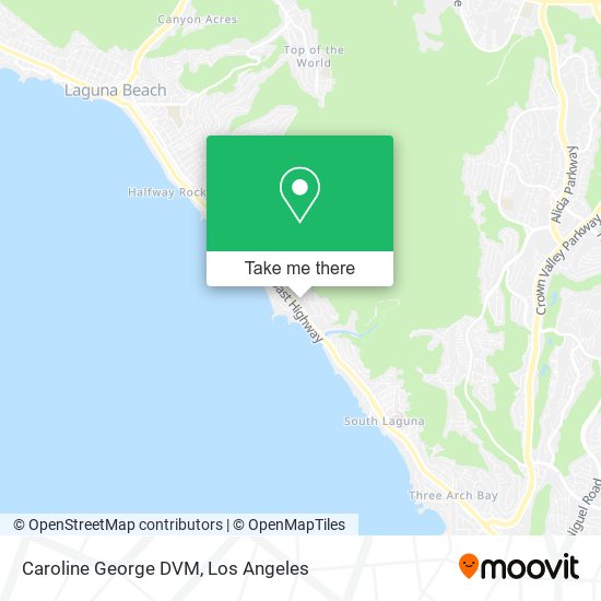 Mapa de Caroline George DVM