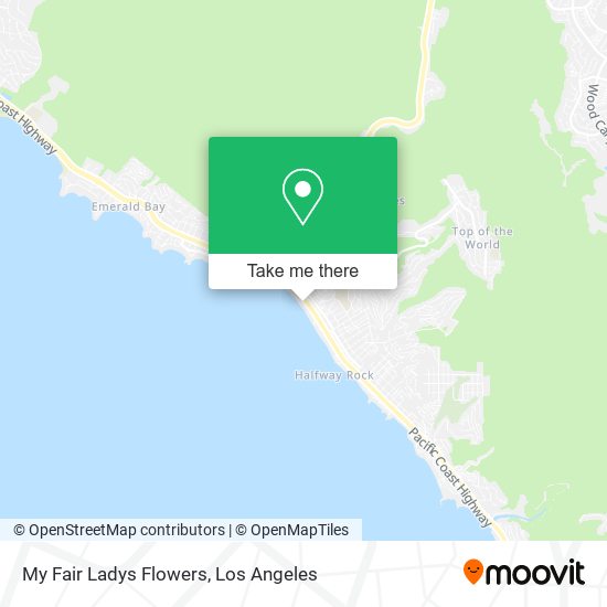 My Fair Ladys Flowers map