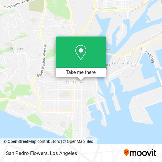 San Pedro Flowers map