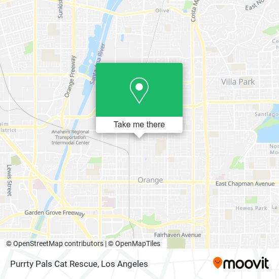 Mapa de Purrty Pals Cat Rescue