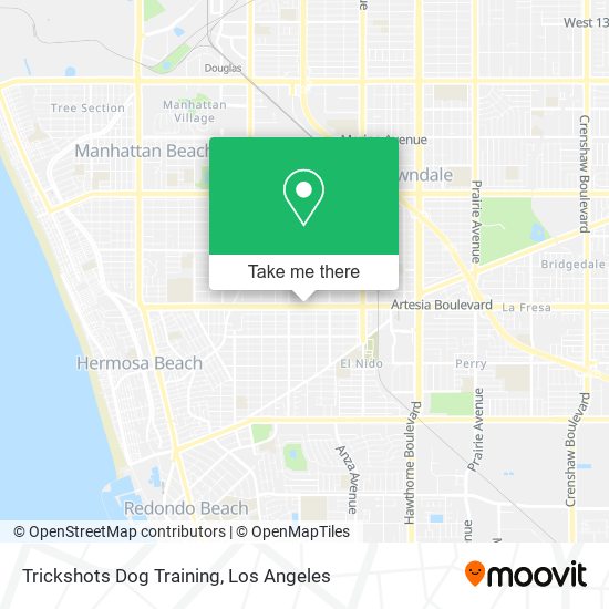 Trickshots Dog Training map