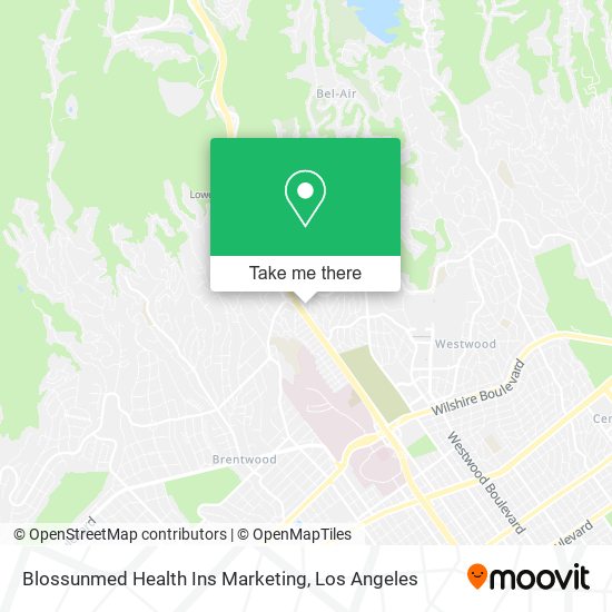 Blossunmed Health Ins Marketing map