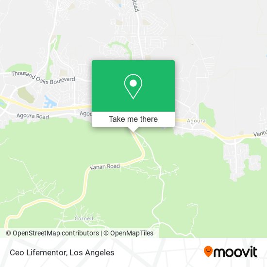 Mapa de Ceo Lifementor