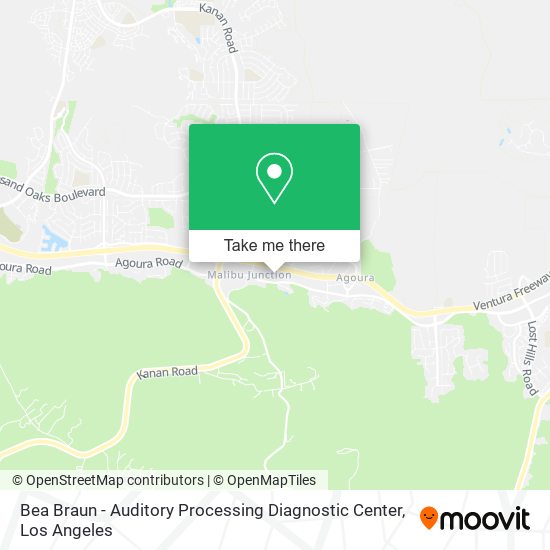 Bea Braun - Auditory Processing Diagnostic Center map