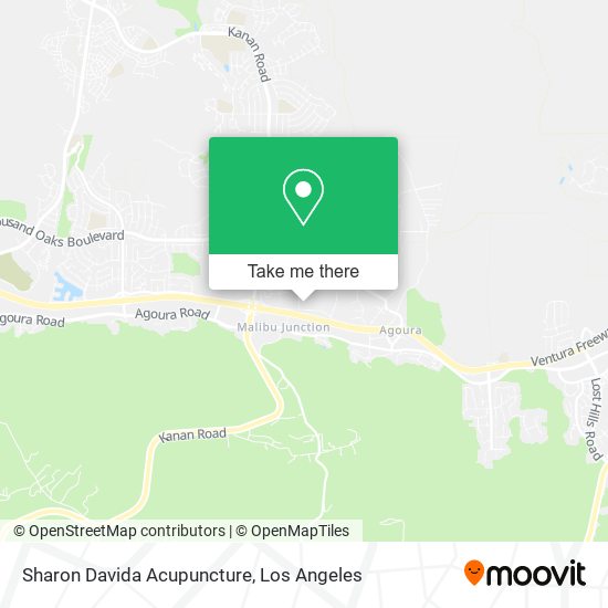 Sharon Davida Acupuncture map