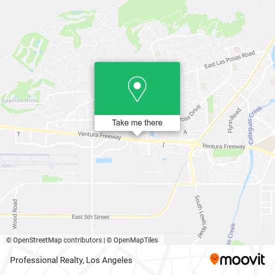 Professional Realty map
