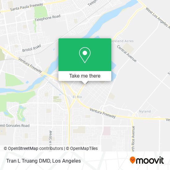 Tran L Truang DMD map