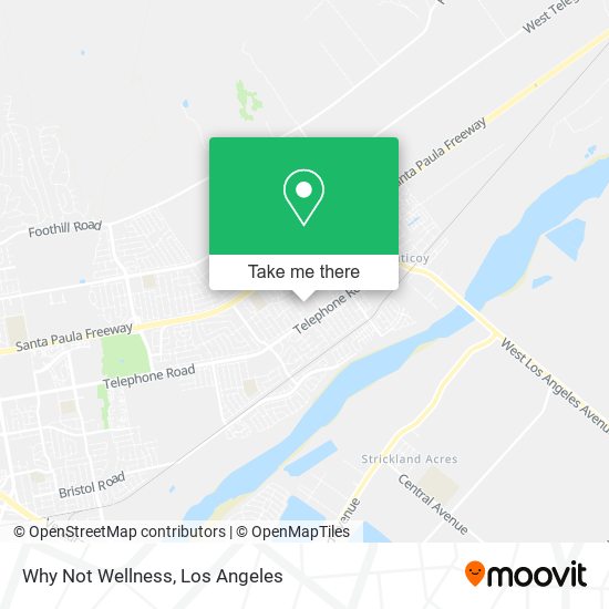 Why Not Wellness map