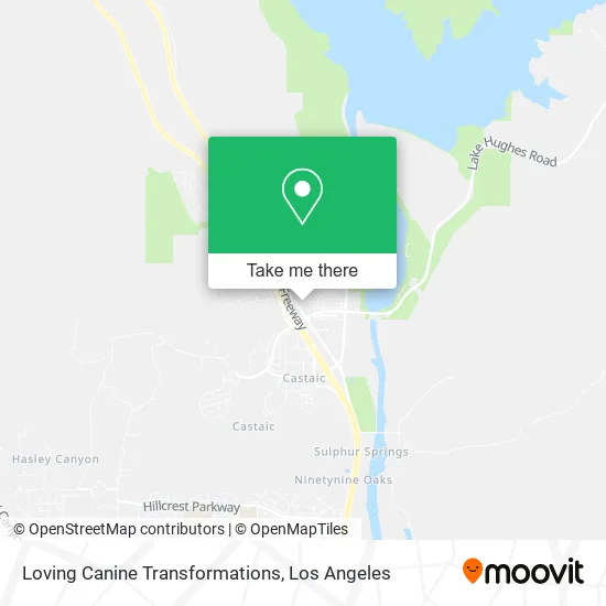Mapa de Loving Canine Transformations