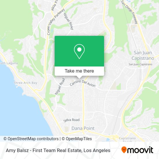 Amy Balsz - First Team Real Estate map