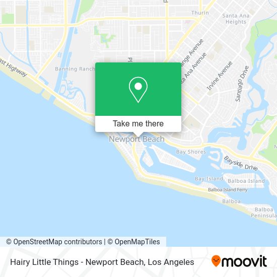 Hairy Little Things - Newport Beach map
