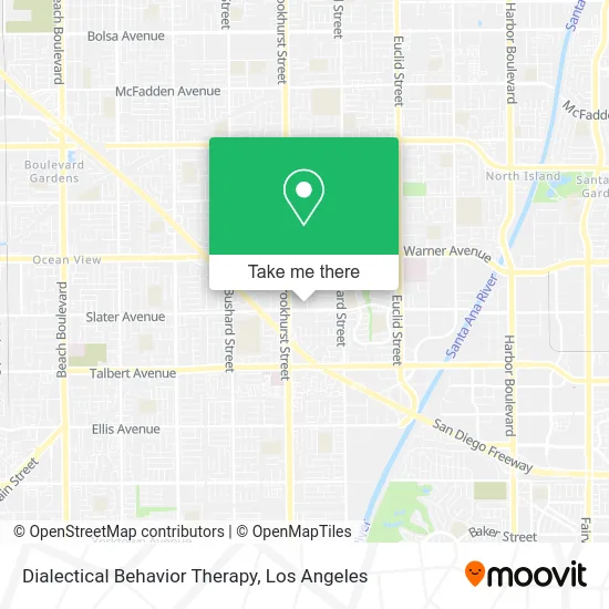 Dialectical Behavior Therapy map